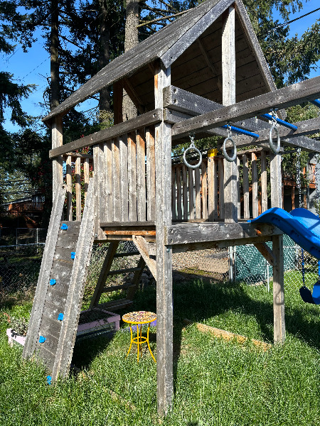 For an idea of scale. The patch in our yard is from the chin link fence to the far edge of the play structure, then is mixes with lawn until petering out. It covers the whole length of that side of the yard.