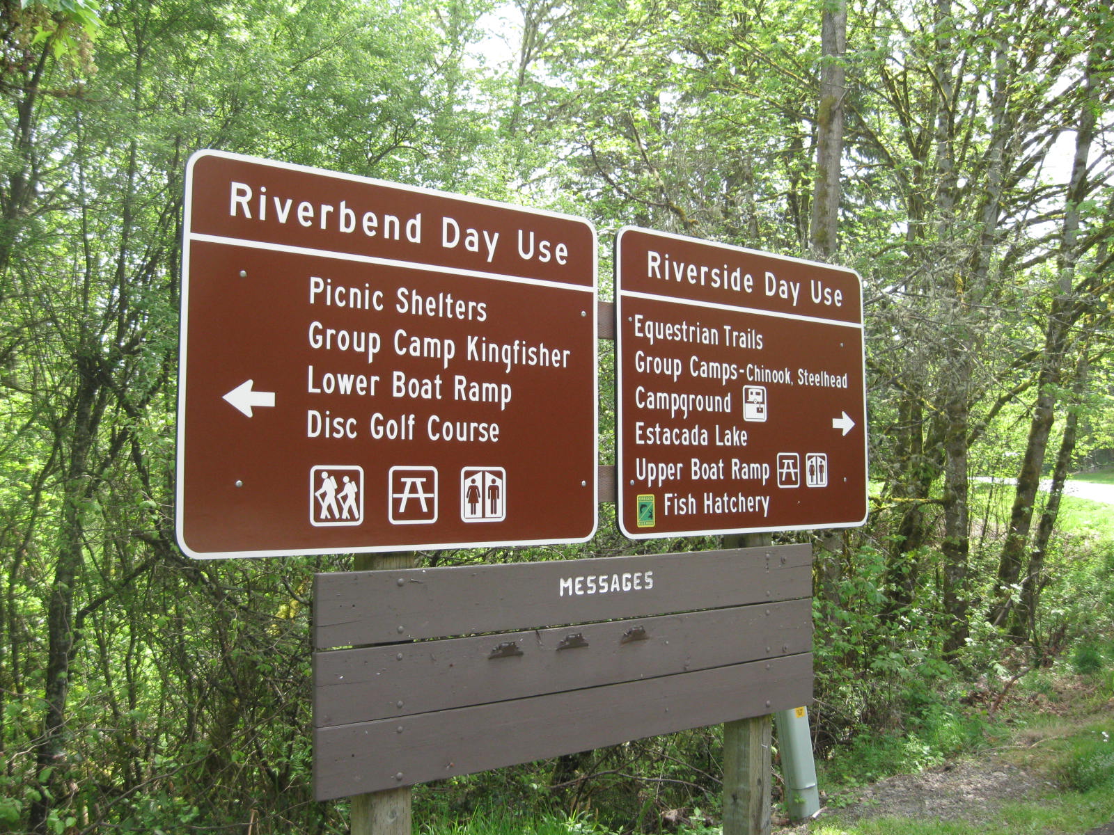 Infestation near sign