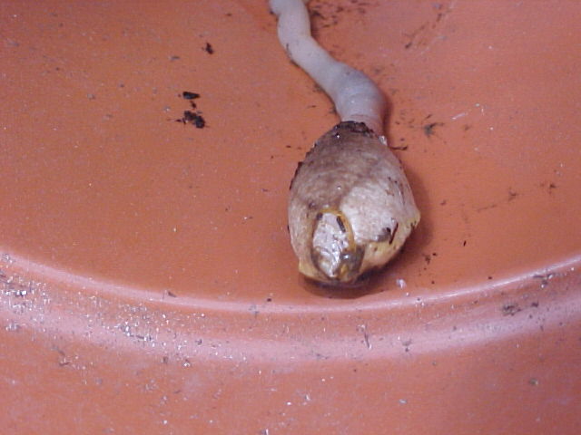 Untitled Image