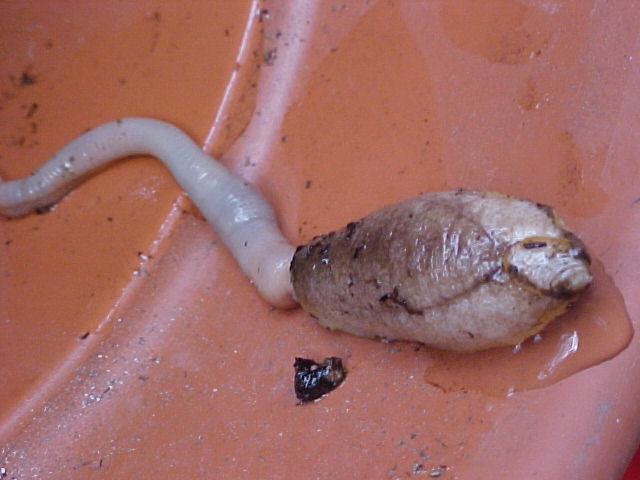 Untitled Image