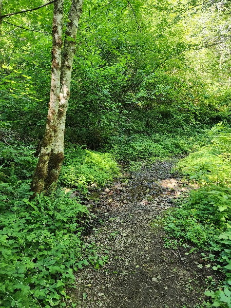 just past this river stream crossing