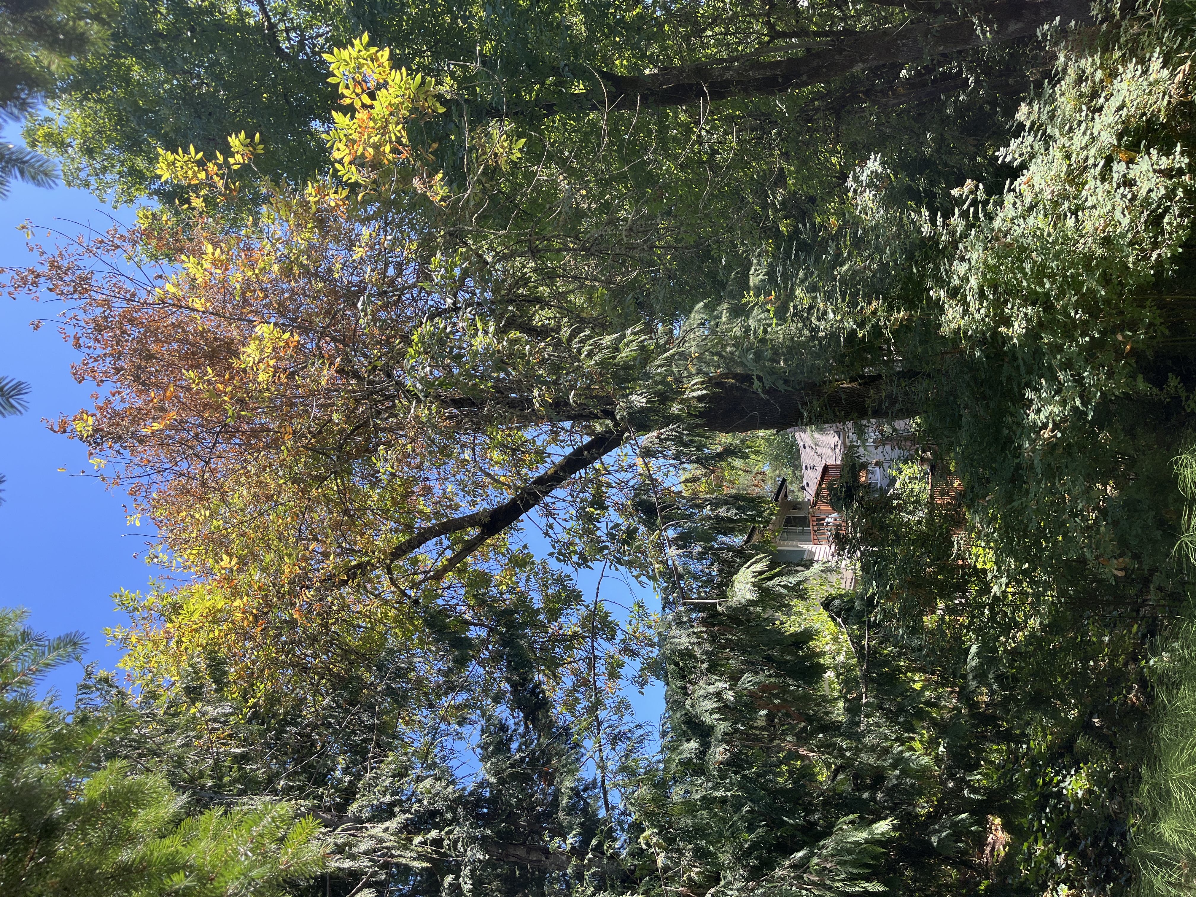 Location of nearby trap