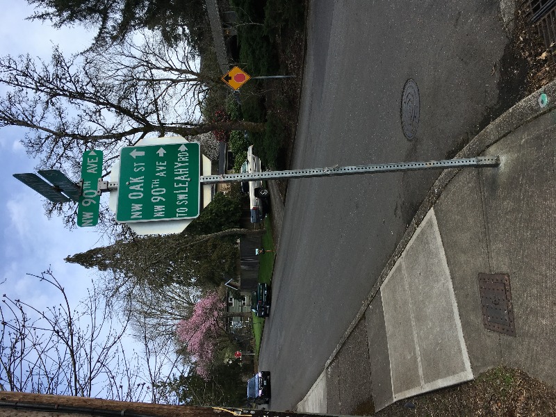 Adjoining corner sign.    CLump is about ten feet Northwest of this corner