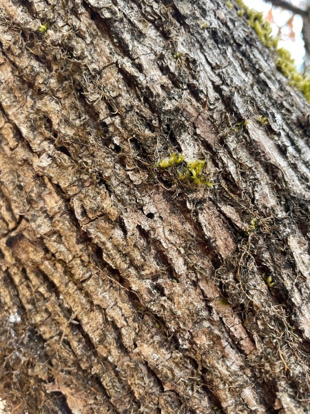 Bore hole in center of the image