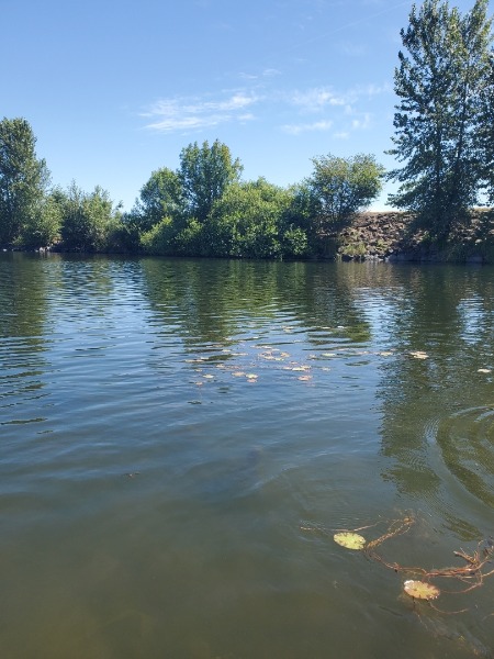 yellow floating heart