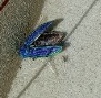 Photo cropped and zoomed