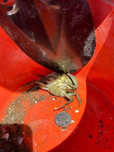 Female