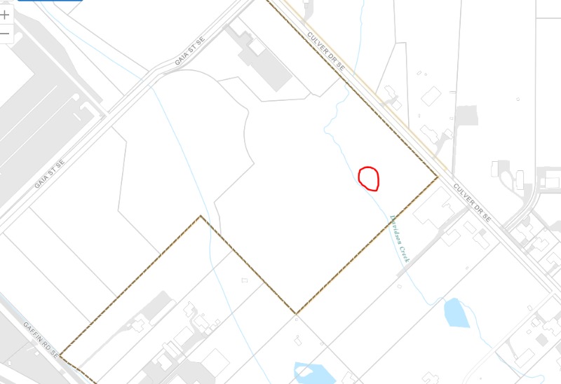 Ash tree location