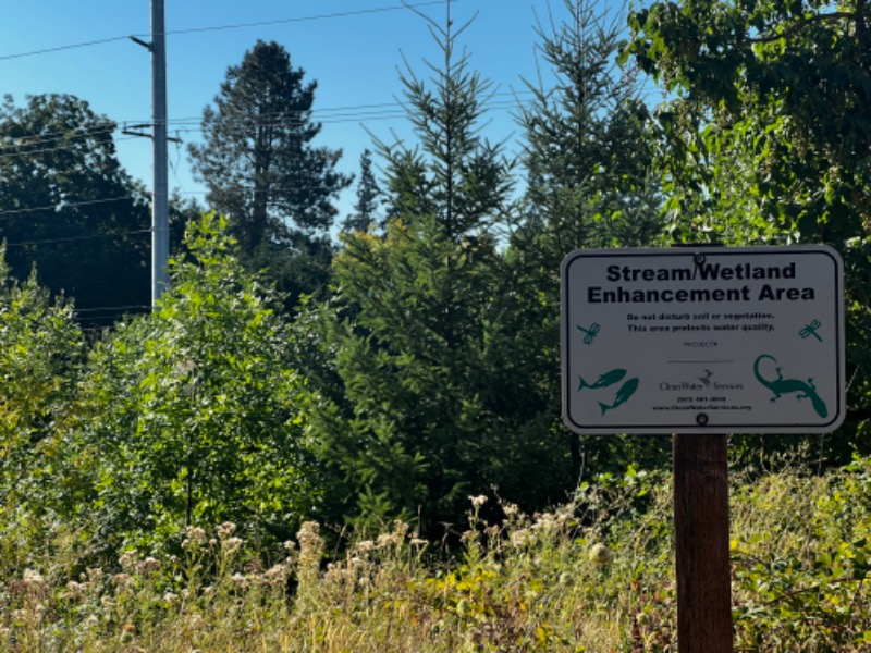 City sign and infected tree in the distance